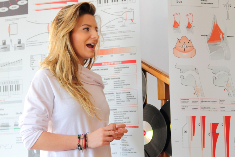 zangleerling 809x540